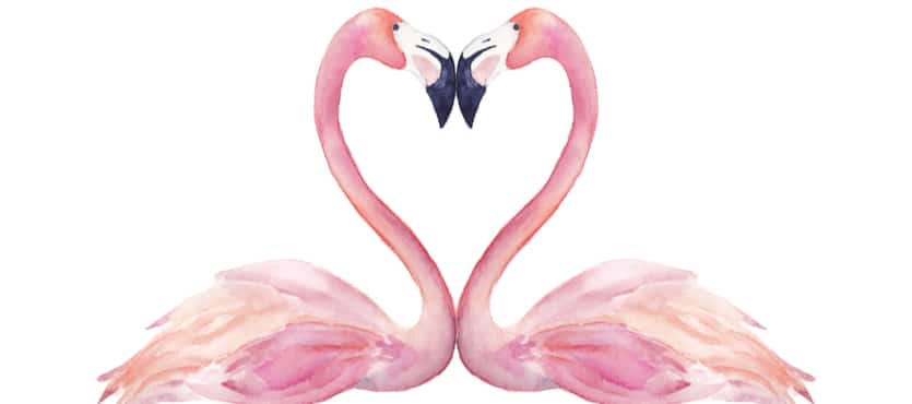 Fall In Love With Your Kitchen This Valentine Day!