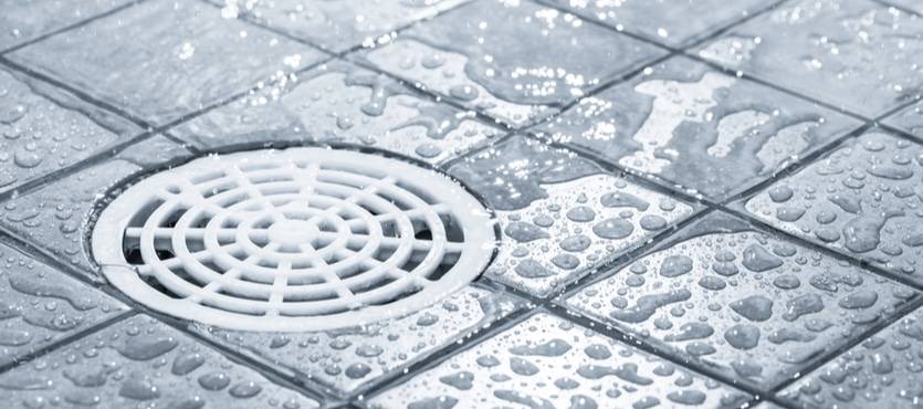 Common Causes of a Smelly Shower